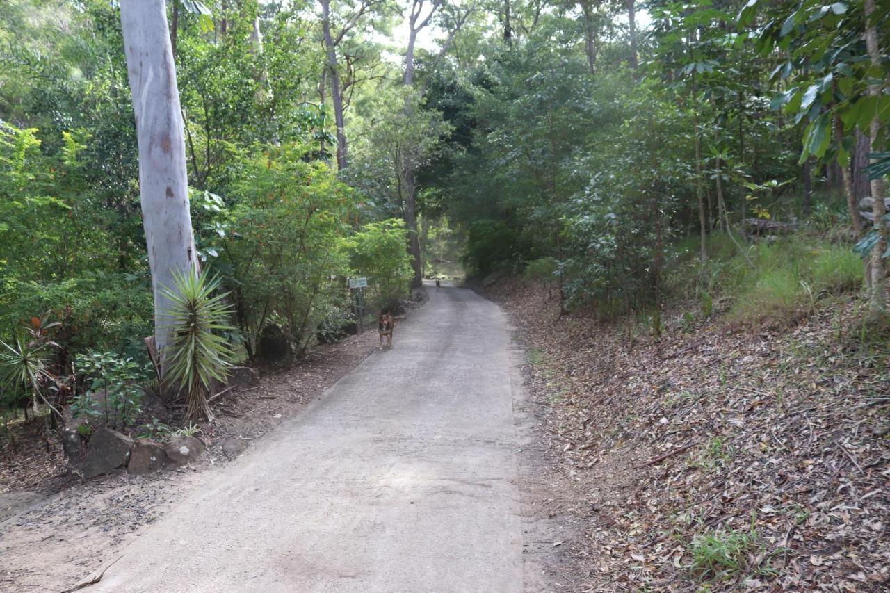 View Chalet: Scenic Retreat Near Australia Zoo And Beaches Landsborough