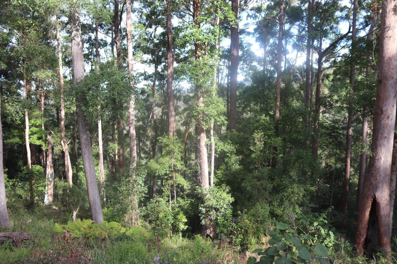 View Chalet: Scenic Retreat Near Australia Zoo And Beaches Chalet